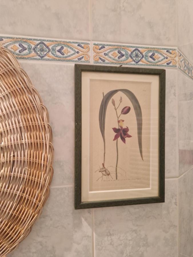 At Monica'S In Rome - Stazione Labaro Apartment ภายนอก รูปภาพ